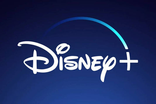 Disney + 12 months subscription